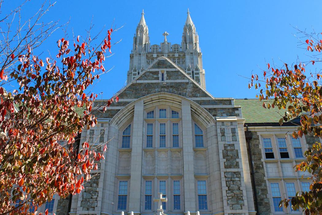 Gasson Fall leaves